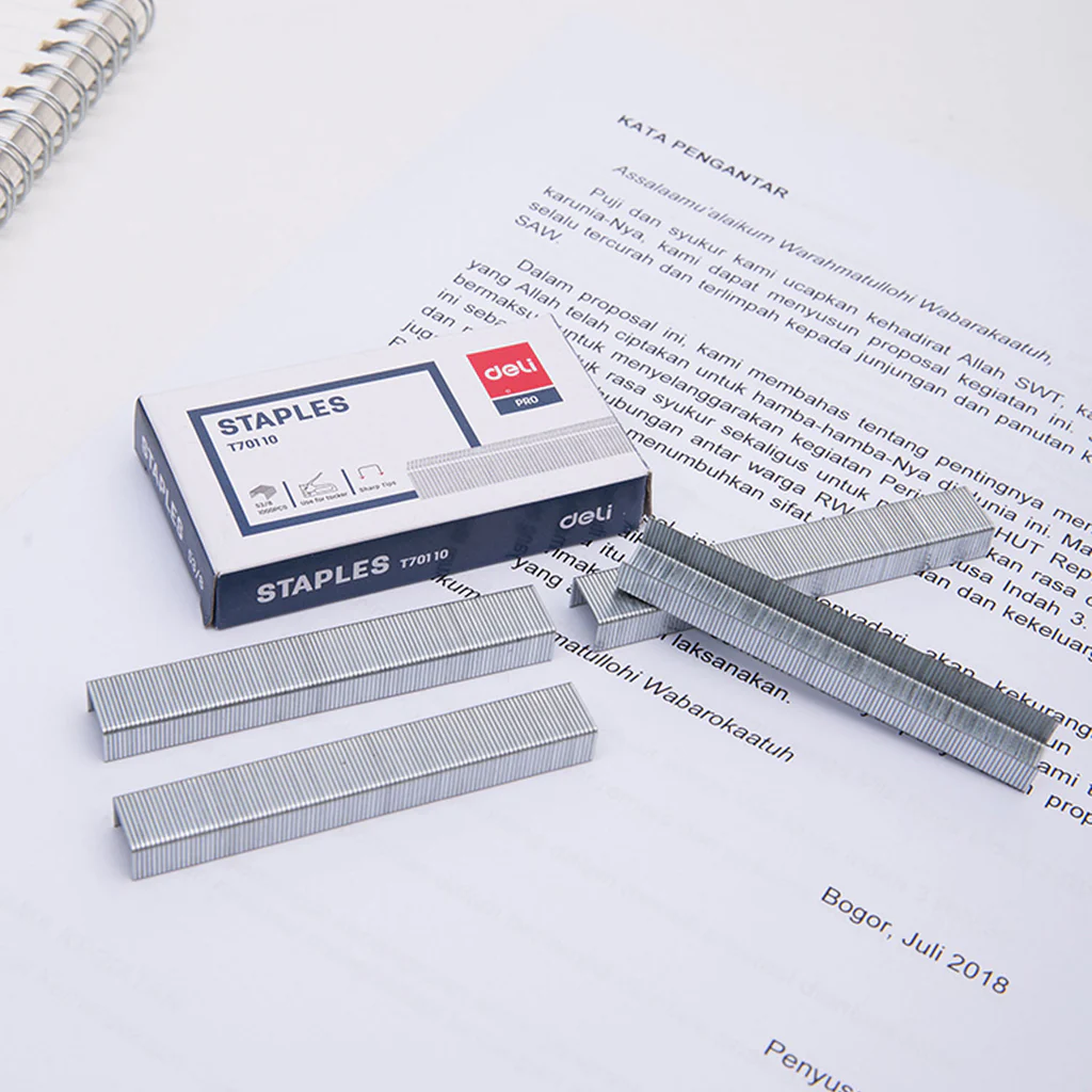 Deli Staples-53/8-1000Pcs - Image 2