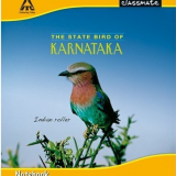 Classmate King Size Note Book (Flexi,172 Pages,Sqaure Ruled Pack of 12)