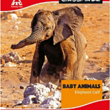 Classmate Short  Note Book (Hard,172 Pages,Four Lines Ruled Pack of 6)