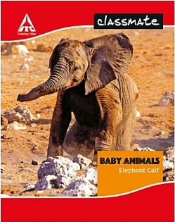 Classmate Short Note Book (Hard,172 Pages,Four Lines Ruled Pack of 6)