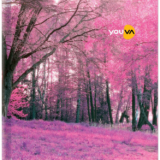 Navneet Youva | My Notes Case Bound Notebook | 16 x 21 cm | Single Line | 192 Pages