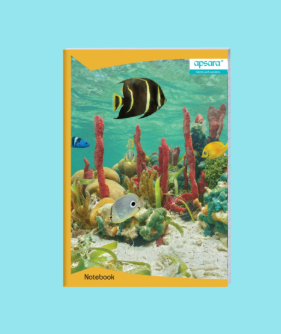 Apsara King Size Broadline Notebook (120 Pages) (Pack of 6)