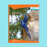 Apsara King Size Unruled 120 Pages (Pack of 6)