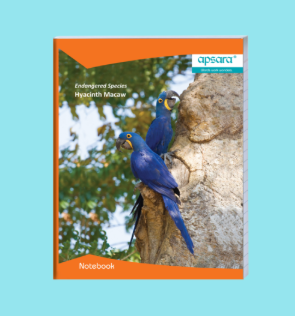 Apsara King Size Unruled 120 Pages (Pack of 6)